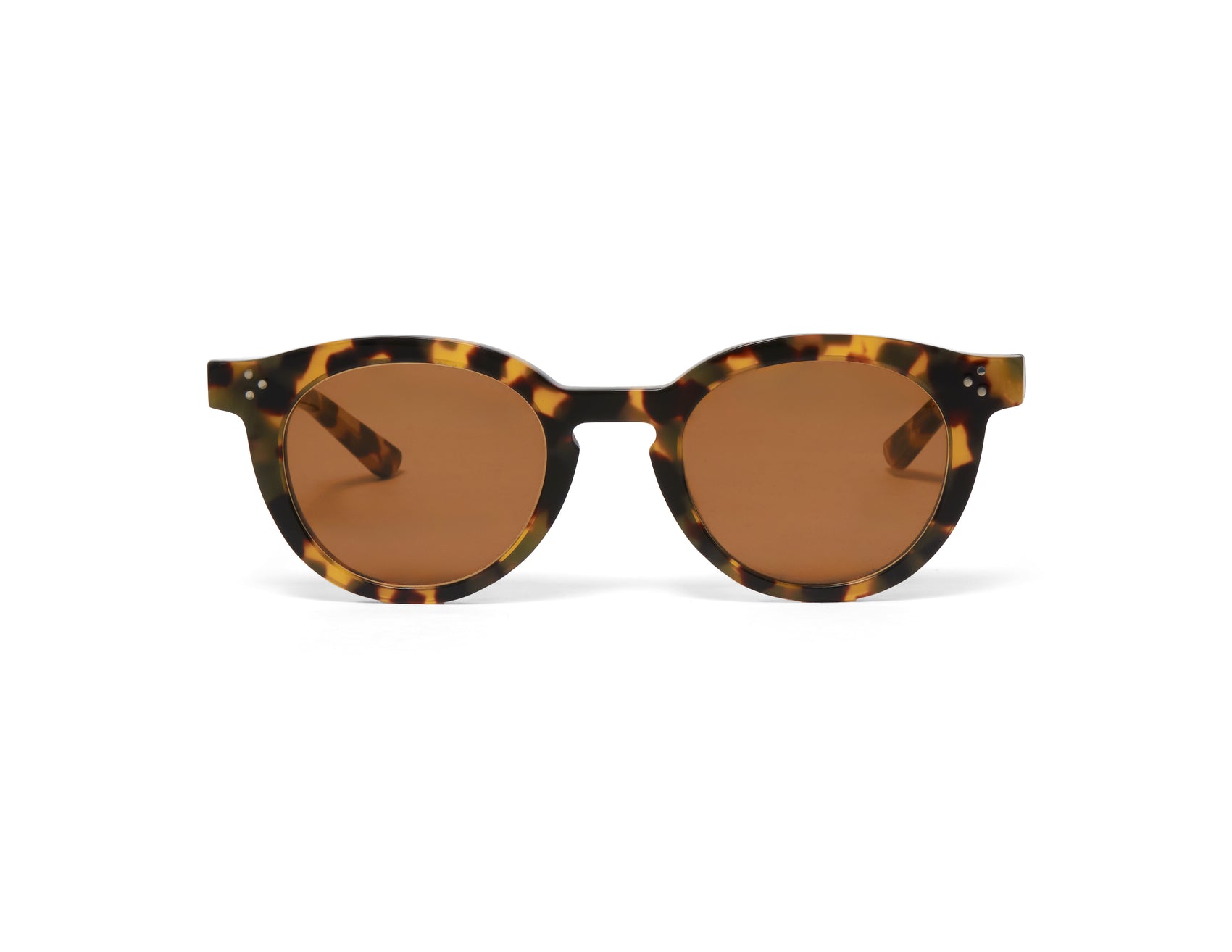 Chaga Tokyo Tortoise